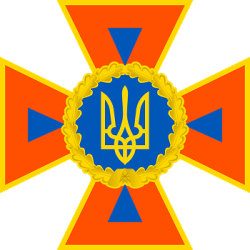 DSNS_emblem_2016 2